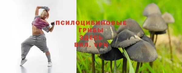 мяу мяу мука Арсеньев