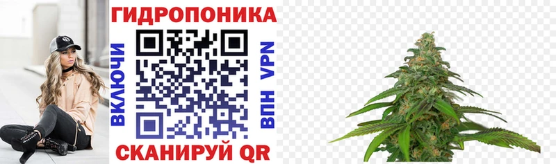 Купить закладки  Тейково  МАРИХУАНА ГИДРОПОН 